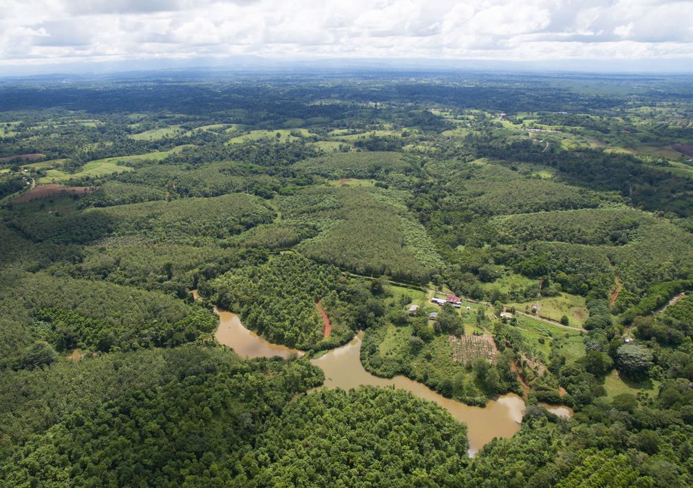 Erfolgreiche Wiederaufforstung: 2008 begannen die Baumpflanzungen auf der Finca San Rafael. Bereits acht Jahre später, im Jahr 2016, zeigt sich der Mischwald mit geschlossenem Kronendach. Bild: Stiftung FuturoVerde (idw)