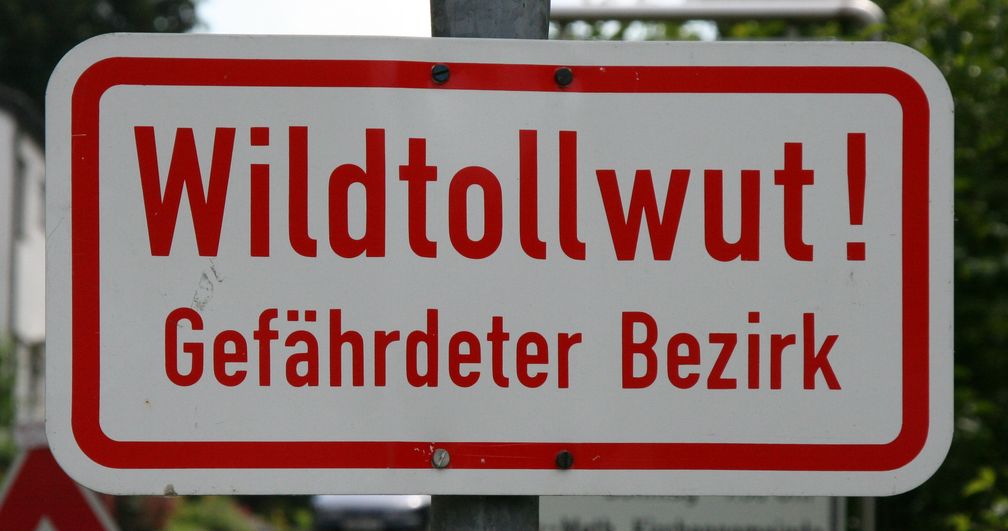 Warnung vor Wildtollwut in Deutschland
