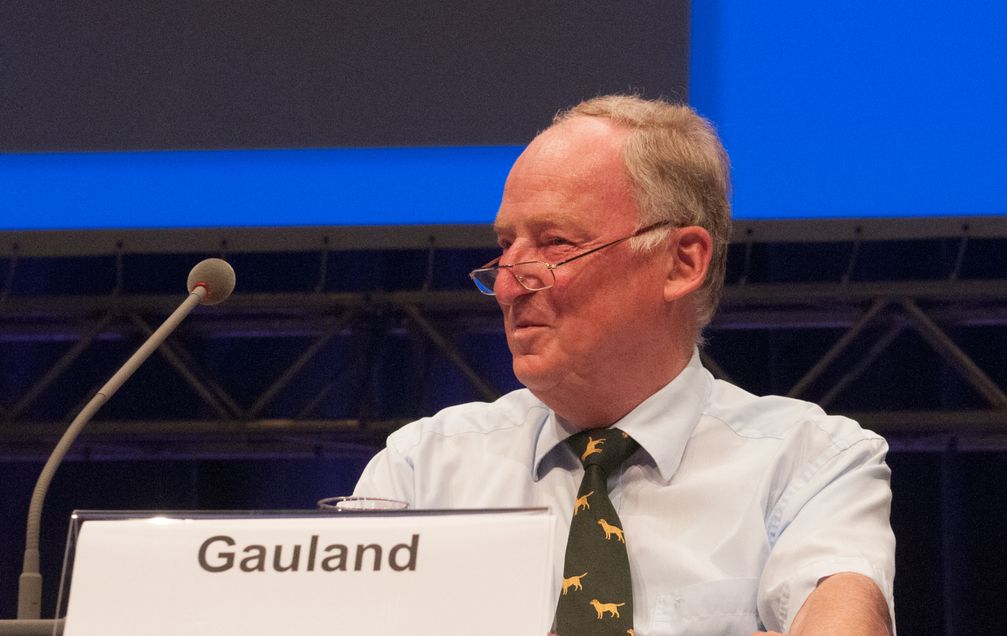 Gauland auf dem Bundesparteitag der AfD 2015