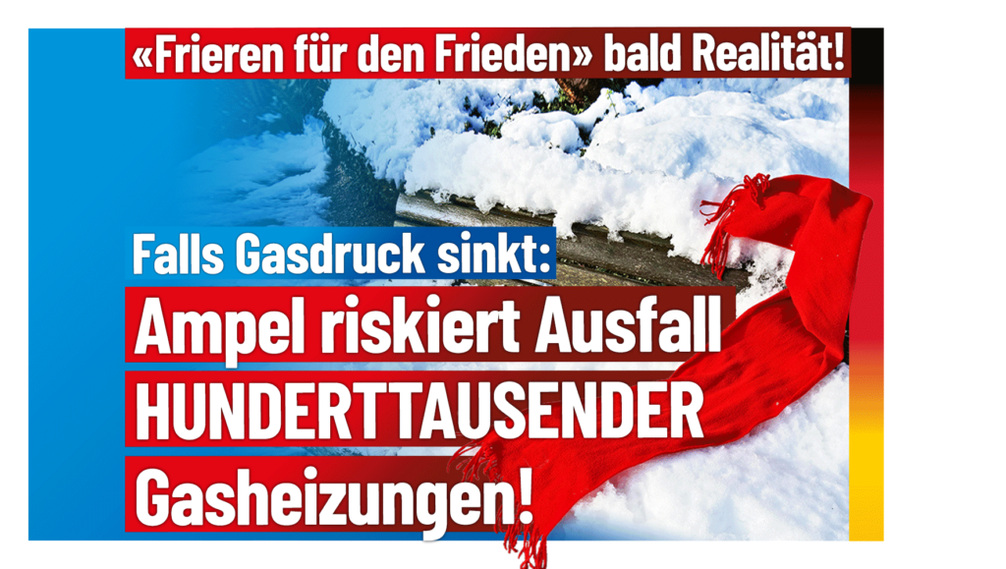 Bild: AfD Deutschland