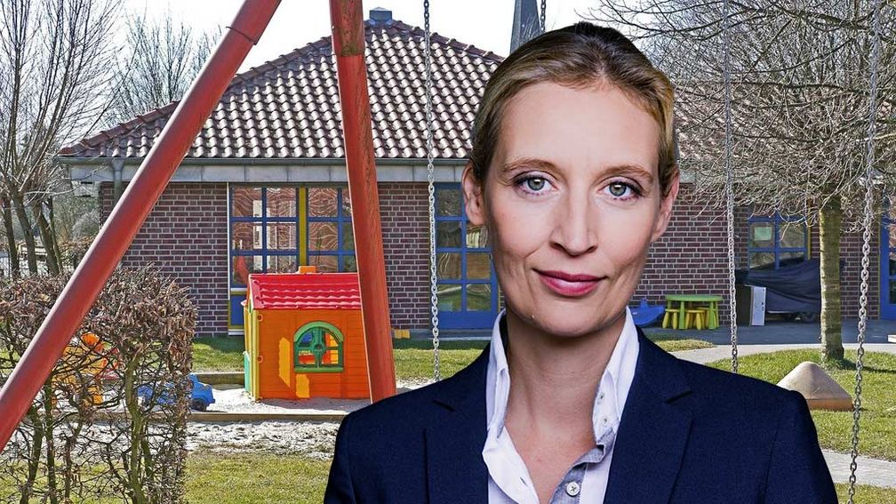 Dr. Alice Weidel (2020)