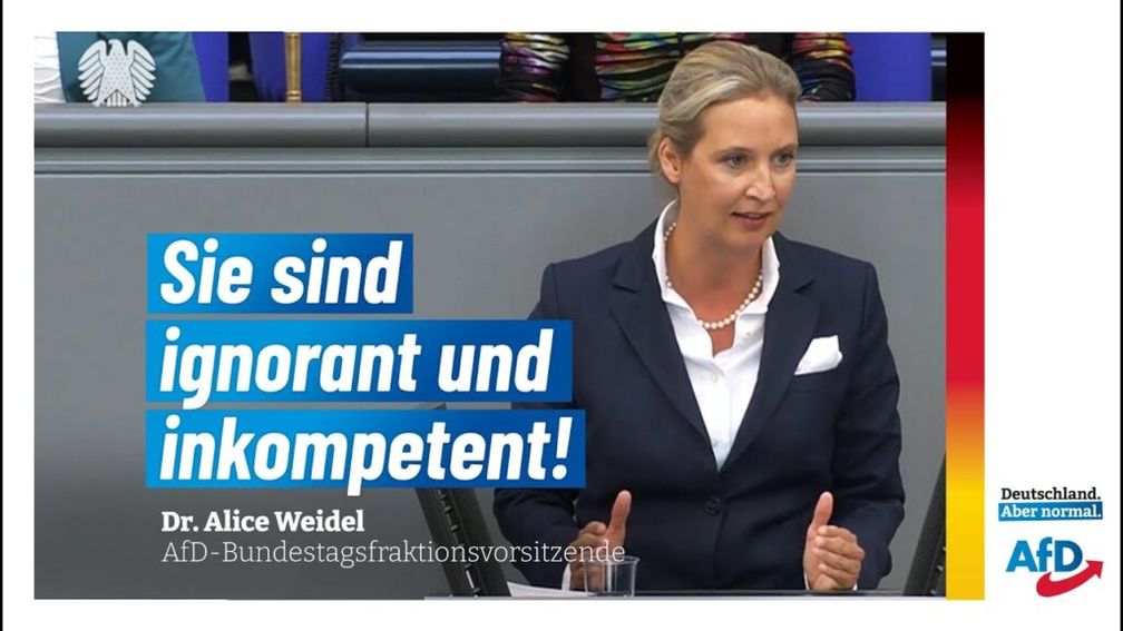 Bild: AfD Deutschland