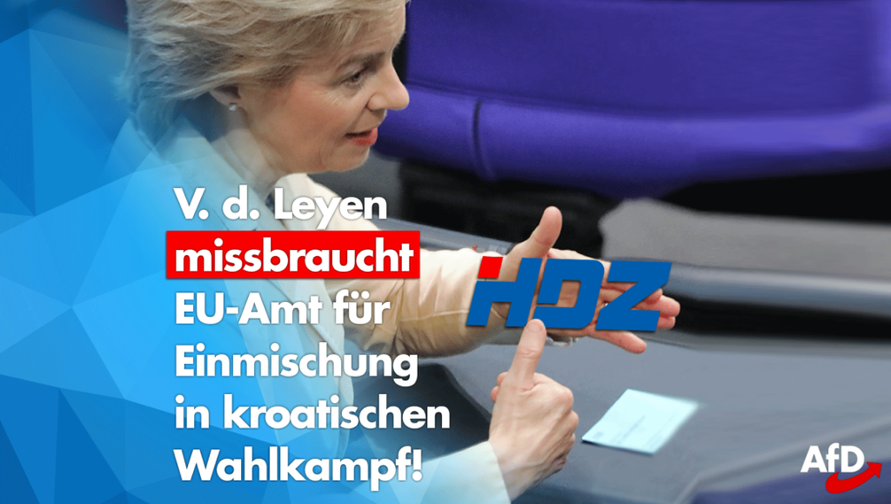 Bild: AfD Deutschland