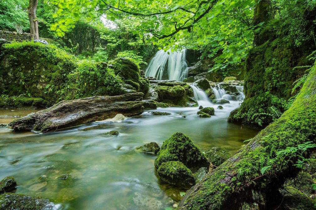 Ein noch naturbelassener Wasserlauf, mit frischer Luft, klarem, sauberen, belebenden Wasser und gesundem Wasserleben