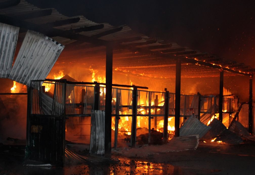 Die Stallungen standen im Vollbrand. Foto: Polizei Minden-Lübbecke Bild: Polizei