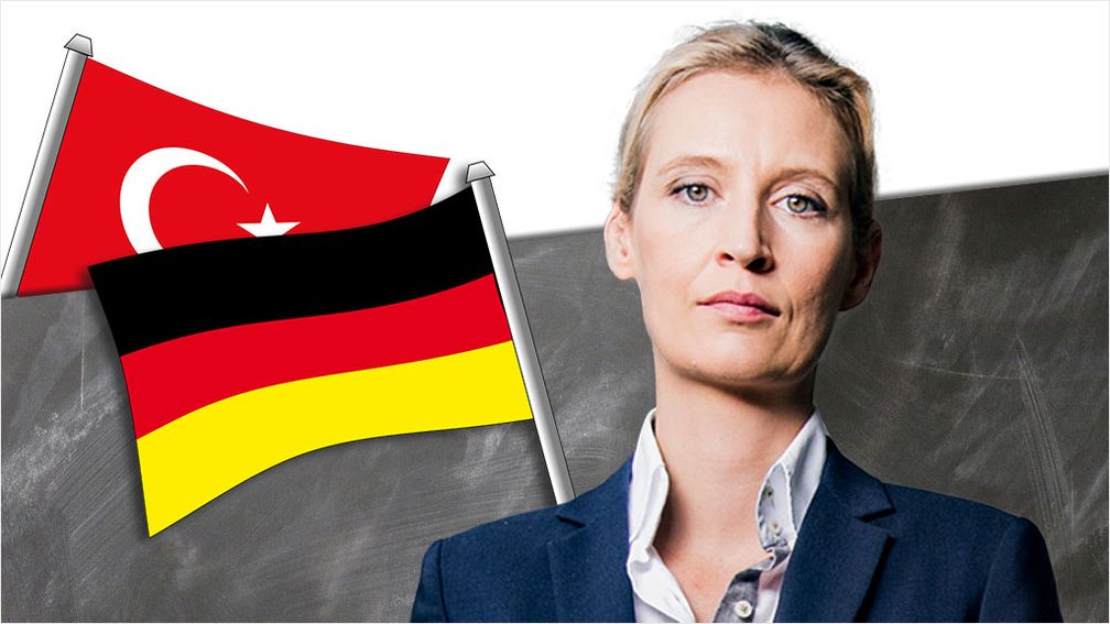 Dr. Alice Weidel (2020)