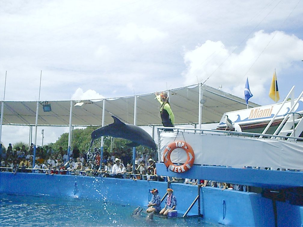 Miami Seaquarium