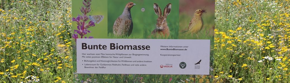 Bild: Screenshot Internetseite: "https://www.energie-aus-wildpflanzen.de/projekte/bunte-biomasse/" / Eigenes Werk