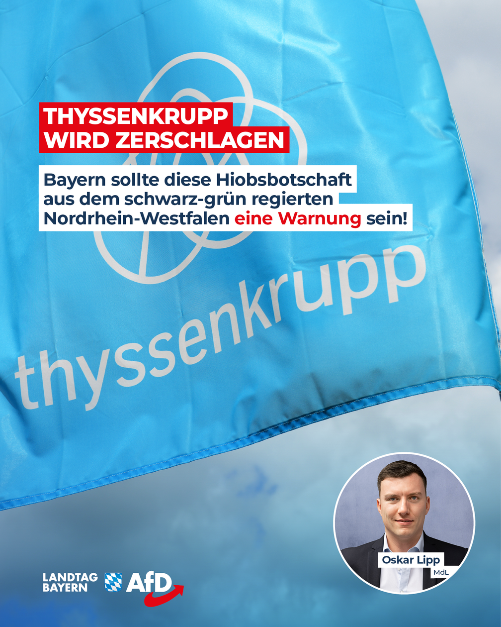 Bild: AfD Deutschland