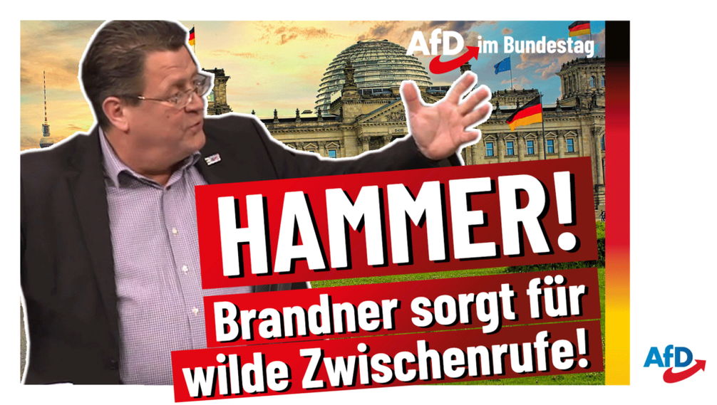 Bild: AfD Deutschland