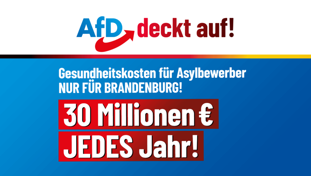 Bild: AfD Deutschland