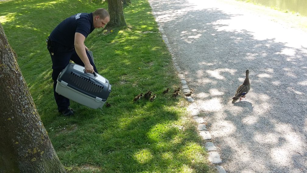 Tierrettung. Bild: Feuerwehr Kleve