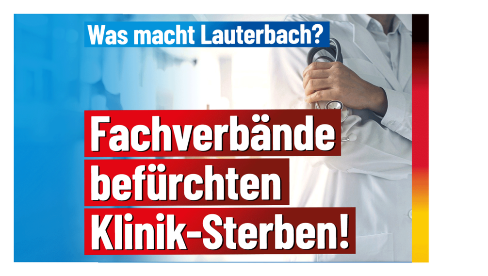 Bild: AfD Deutschland