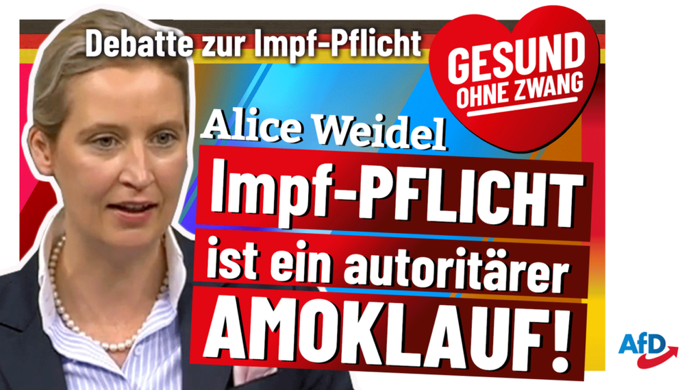 Bild: AfD Deutschland