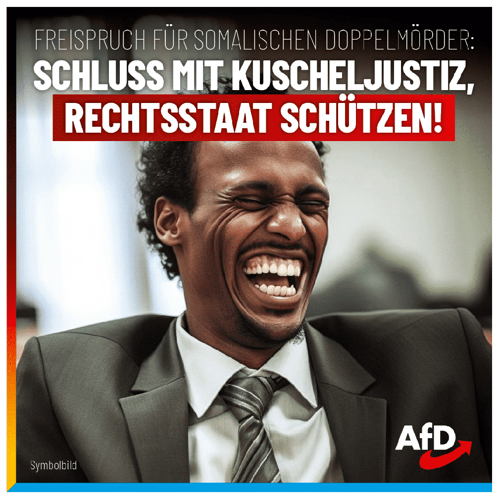 Bild: AfD Deutschland