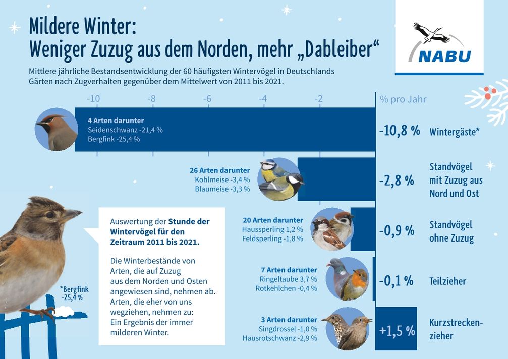 Bild: NABU/Stunde der Wintervögel Fotograf: Gestaltung publicgarden, Berlin