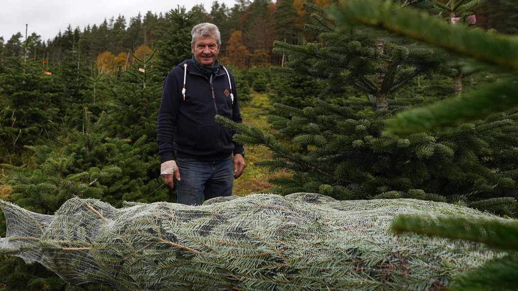 Bei Günther Marx wachsen Weihnachtsbäume mit Bio-Siegel.  Bild: "obs/ZDF/Jonas Drees"