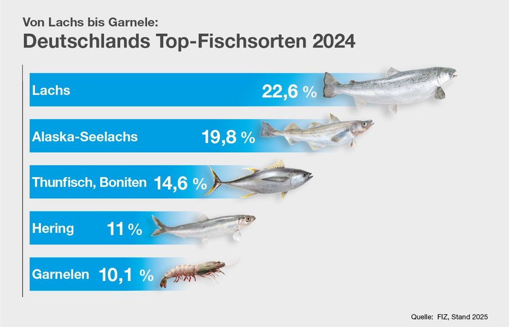 Fischkonsum-in-Deutschland-bleibt-stabil-Hamburg-an-der-Spitze