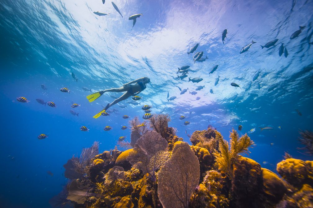Belize-authentisch-erleben-Die-besten-Sommer-Highlights