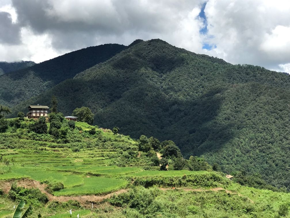 100 Prozent Biostaat: Keine chemischen Dünger und Pestizide in Sikkim