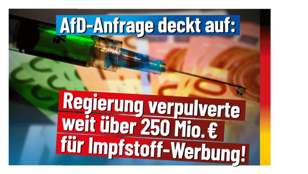 Bild: AfD Deutschland