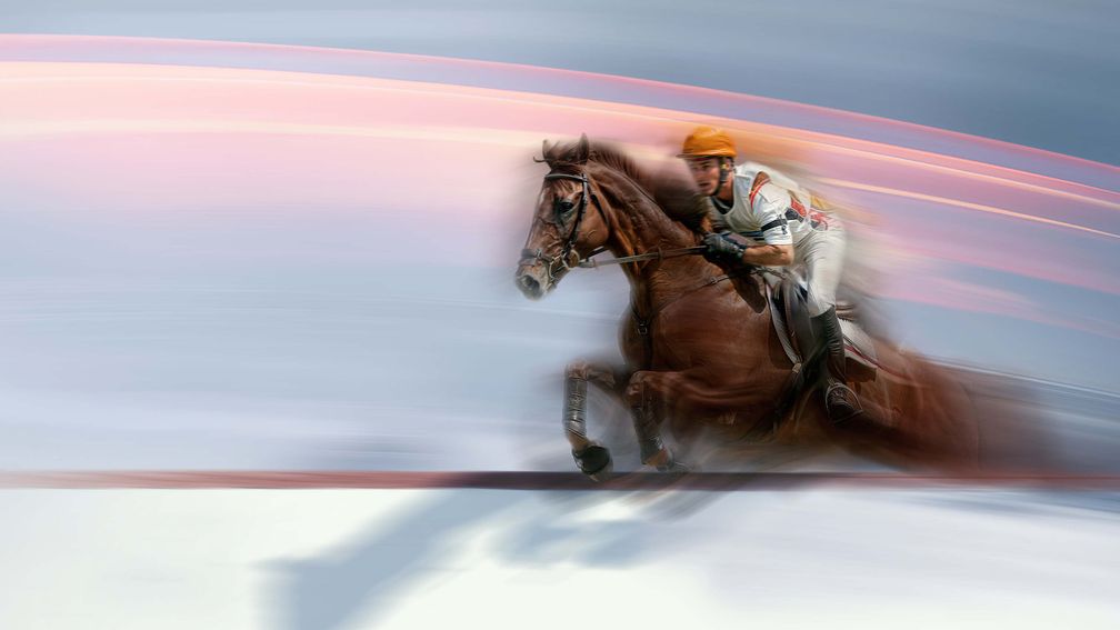 Das-Springreiten-Finale-beim-CHIO-in-Aachen-live-im-ZDF