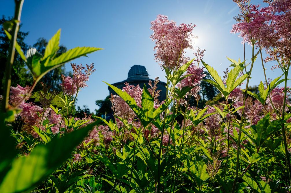Macht-das-Beste-aus-euren-Sommerferien-