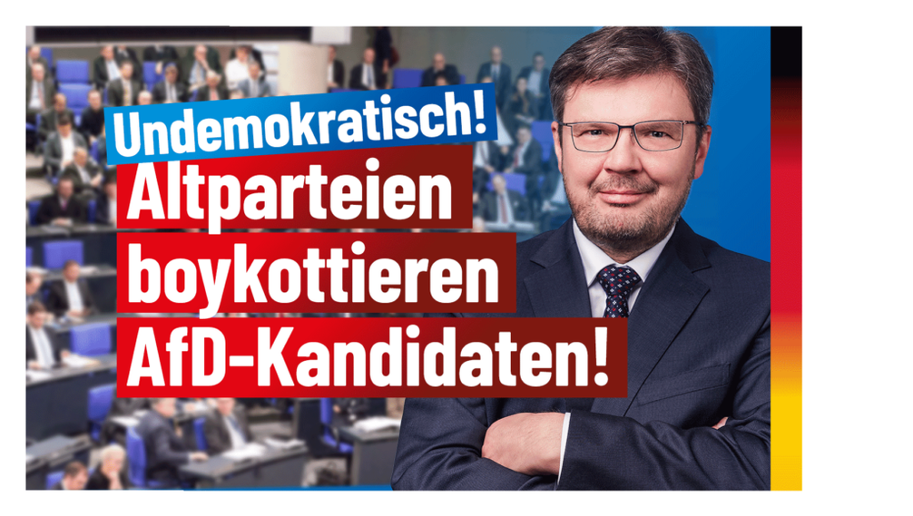 Bild: AfD Deutschland