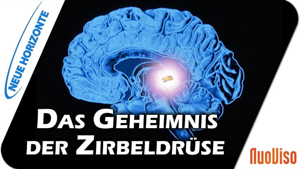 Dr. Heidi Wichmann: Die Zirbeldrüse als Schlüssel