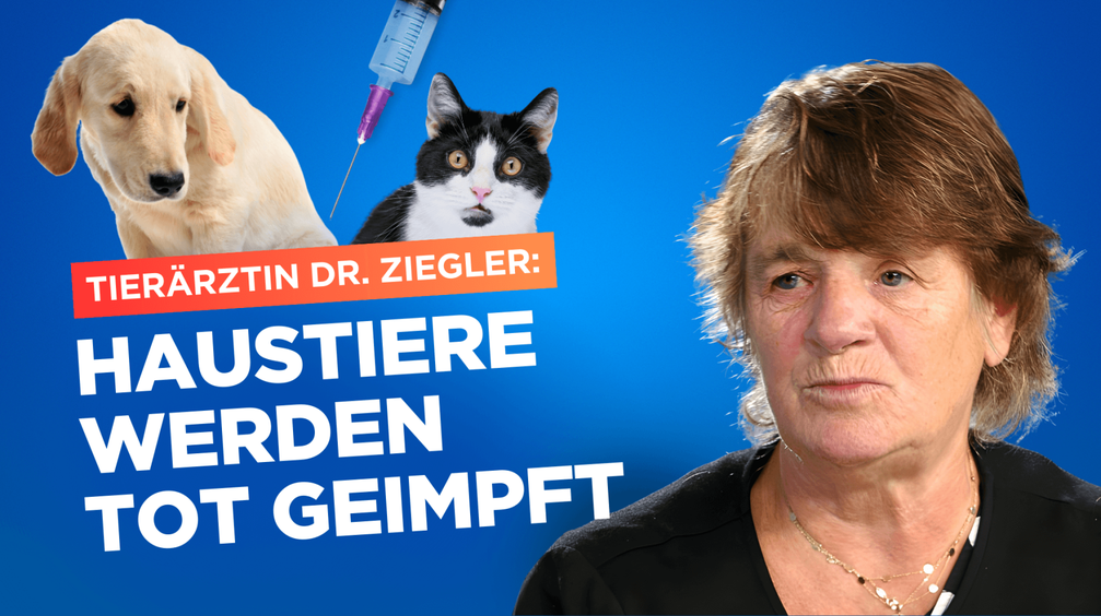 Bild: AUF1 / Eigenes Werk