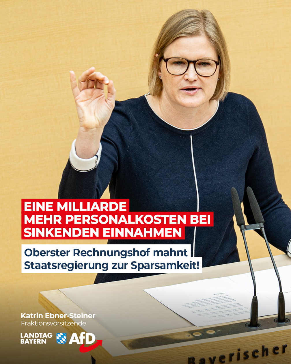 Bild: AfD Deutschland