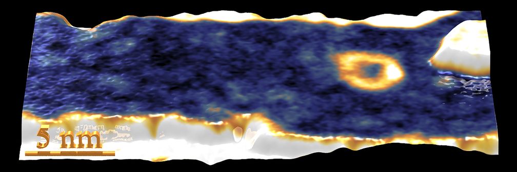 Abb. 2: Rastertunnelmikroskopie-Messung der Probenoberfläche, ein magnetisches Skyrmion ist hier als goldener Ring zu erkennen.
Quelle: A. Kubetzka, Universität Hamburg (idw)