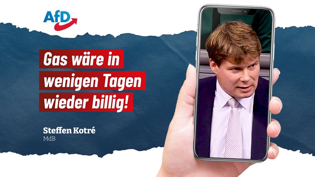 Bild: AfD Deutschland