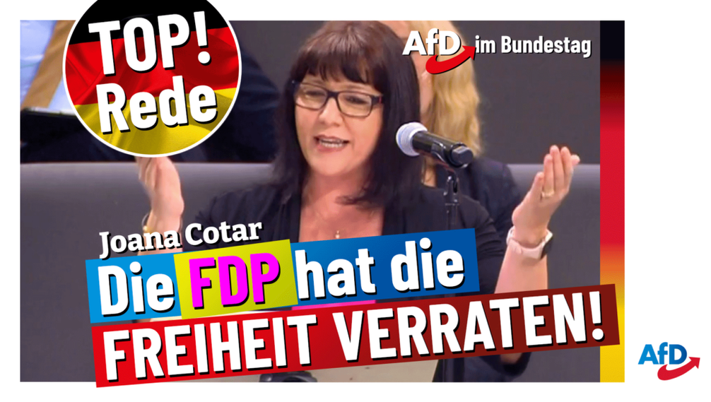 Bild: AfD Deutschland