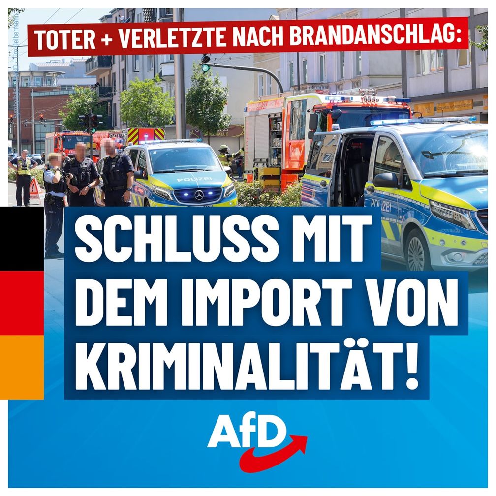 Bild: AfD Deutschland