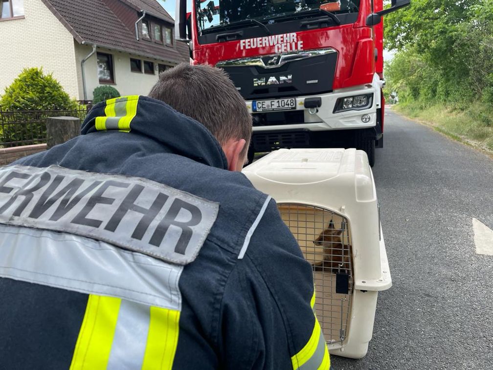 Bild: Feuerwehr Celle