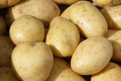 NDR-Verbrauchermagazin-Markt-schlechte-Umweltbilanz-bei-g-nstigen-Kartoffeln-aus-gypten
