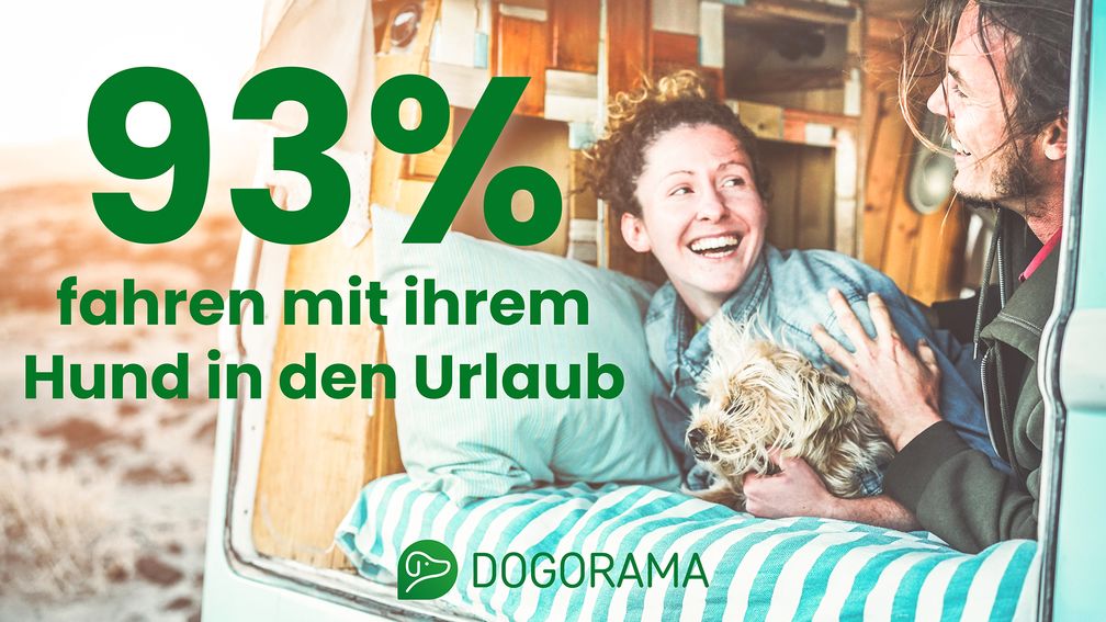 Die-beliebtesten-Reiseziele-f-r-Hundehalter