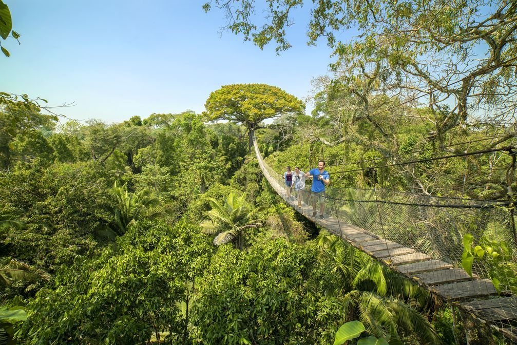 Der Nationalpark Tambopata in der Region Madre de Dios im Südosten Perus Bild: PROMPERÚ Fotograf: PROMPERÚ