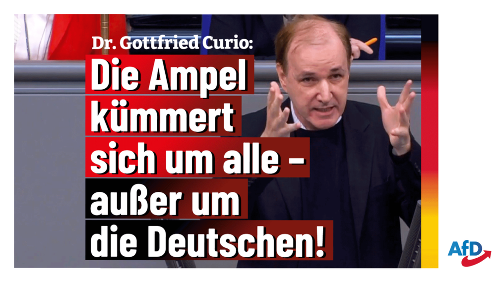 Bild: AfD Deutschland