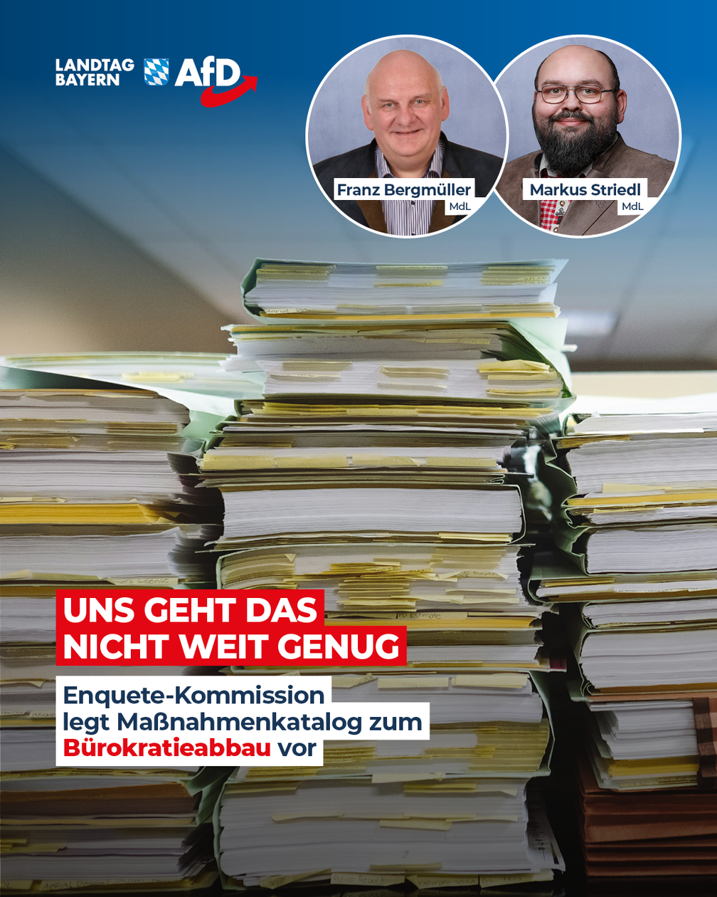 Bild: AfD Deutschland