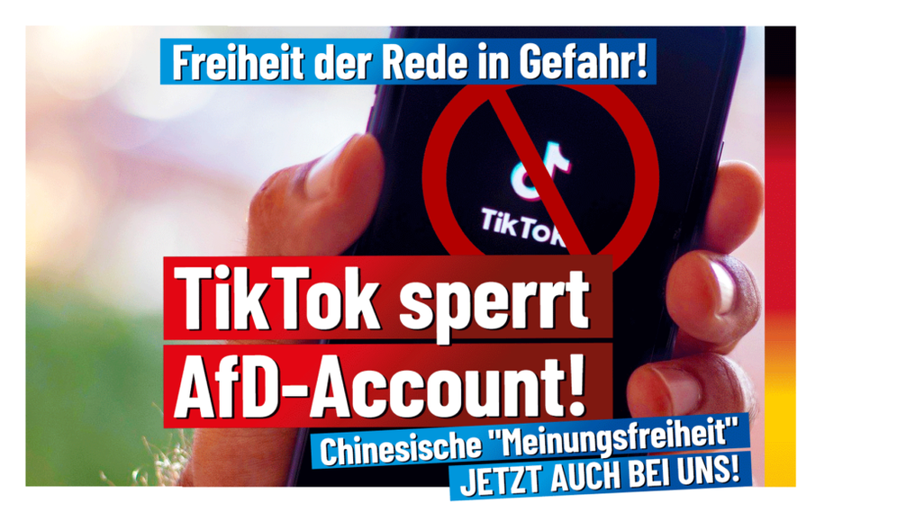 Bild: AfD Deutschland