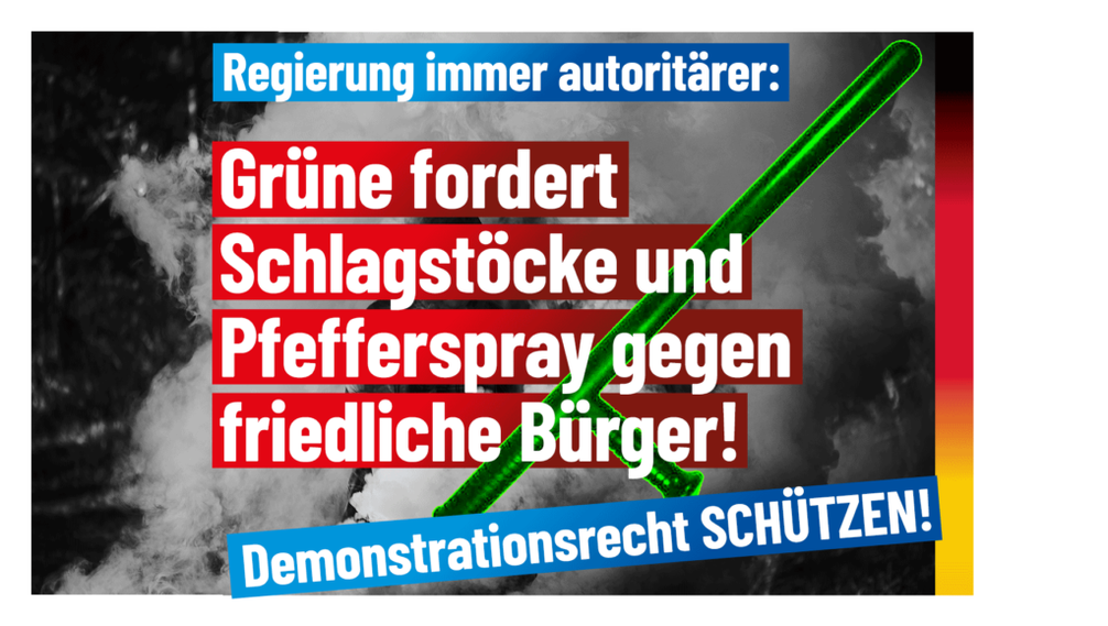 Bild: AfD Deutschland