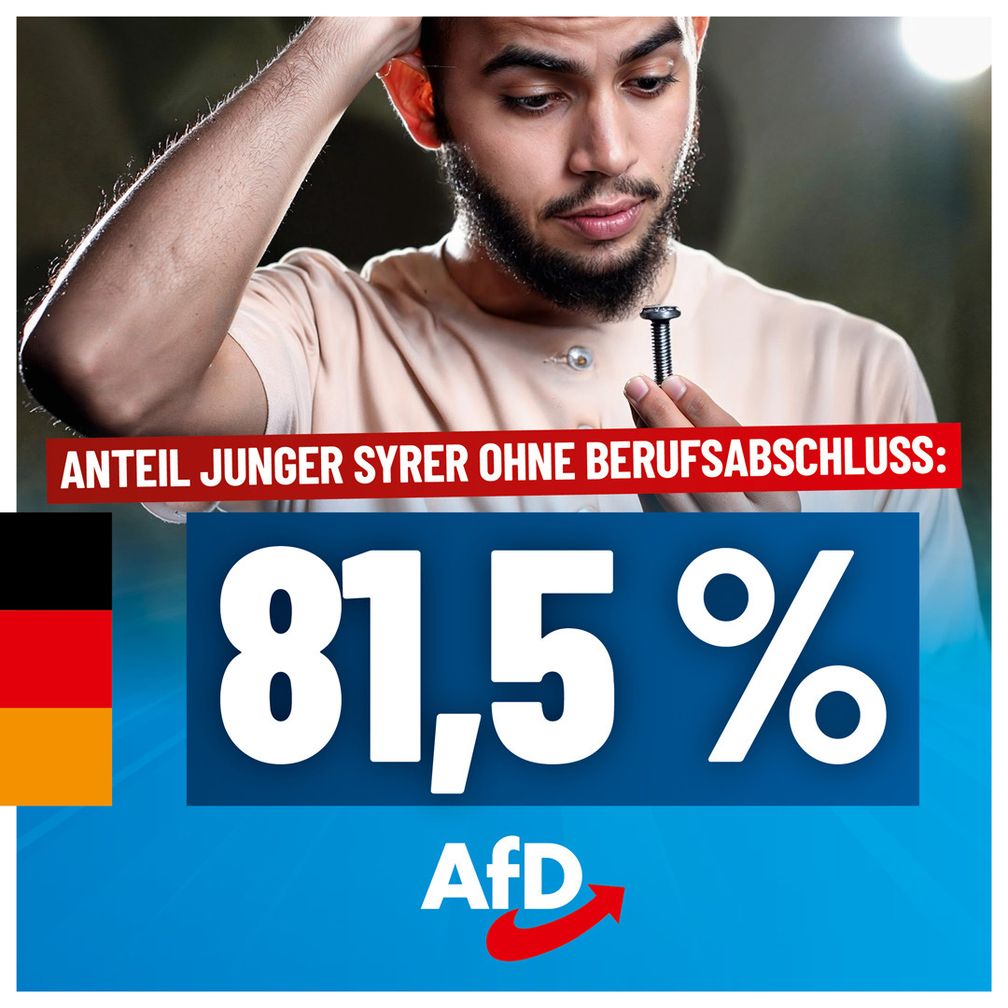 Bild: AfD Deutschland