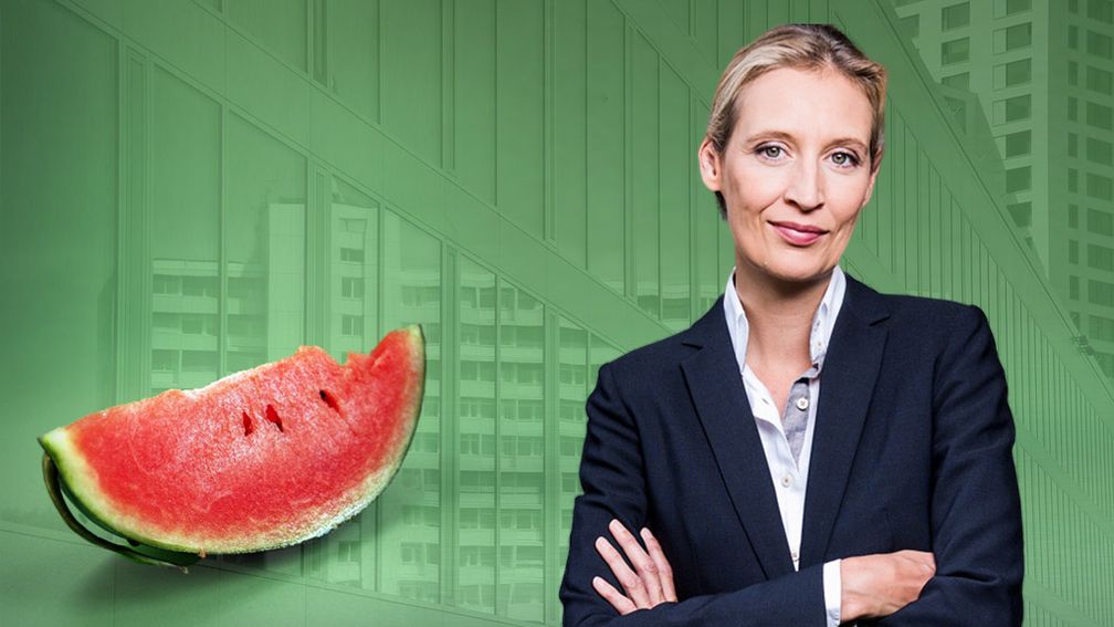 Dr. Alice Weidel (2019)