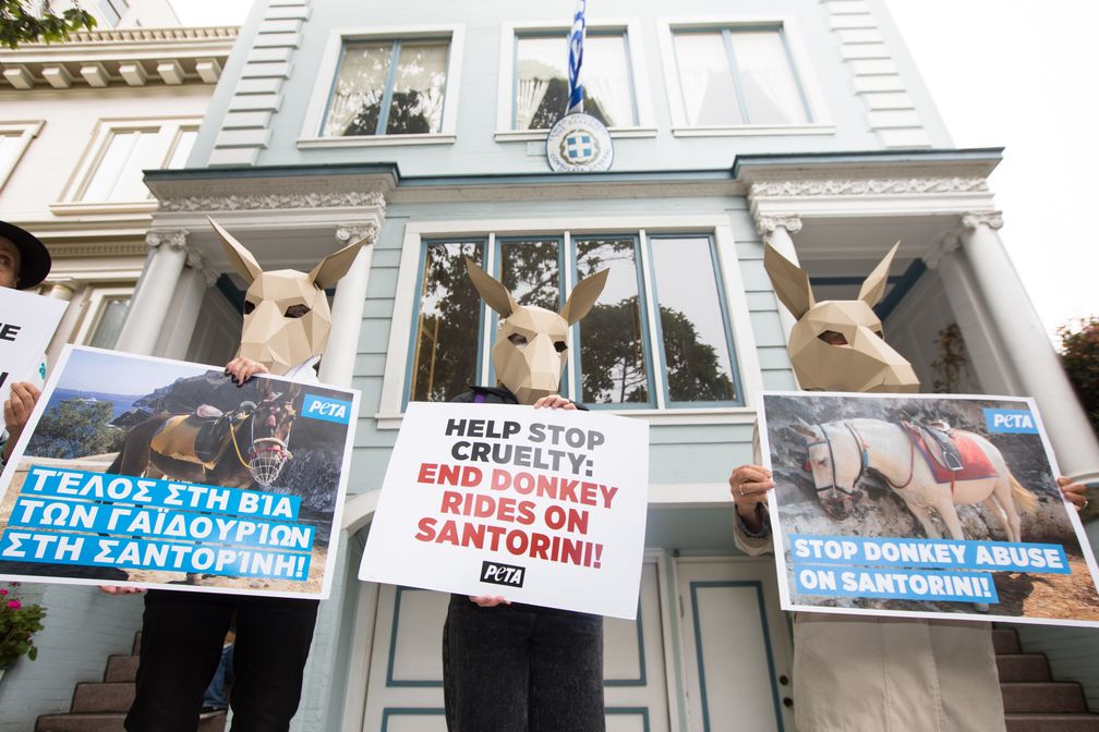 Auch in San Francisco demonstrierten PETA-Aktive vor dem griechischen Konsulat.  Bild: © PETA USA Fotograf: PETA Deutschland e.V.