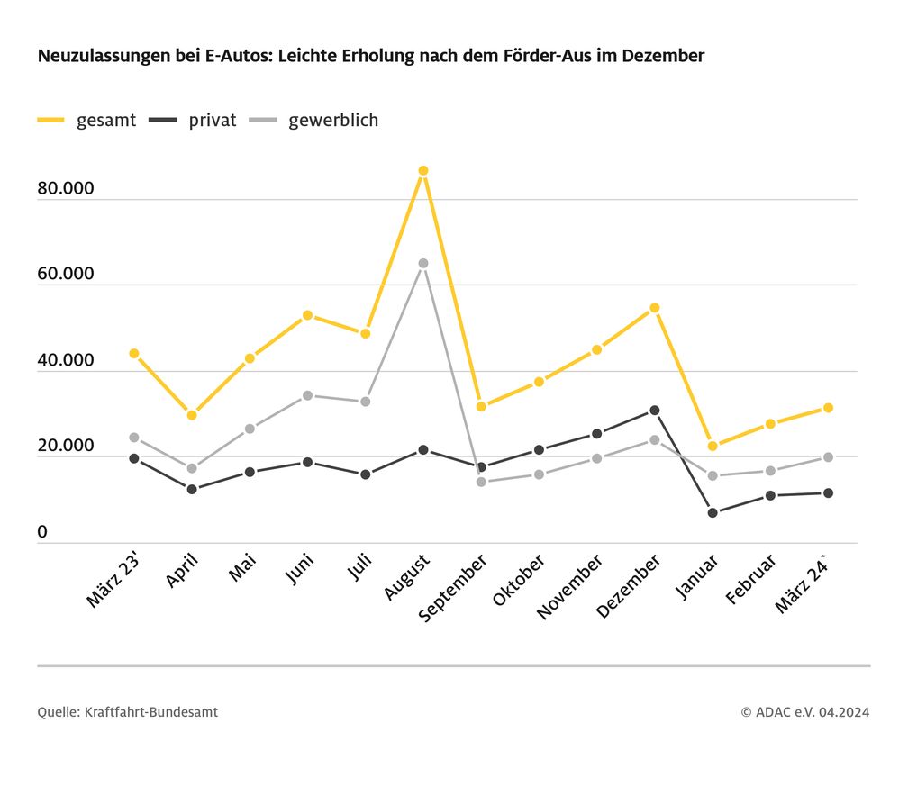 Privaten Neuzulassungen von E-Autos sind im Vergleich zum Jahresende 2023 stark eingebrochen.