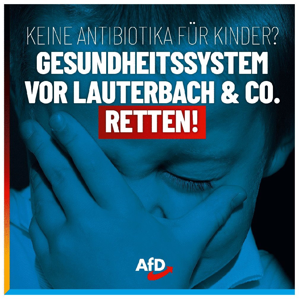 Bild: AfD Deutschland