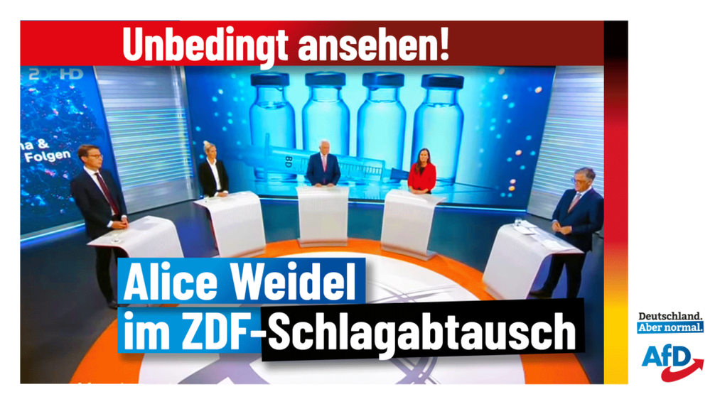 Bild: AfD Deutschland