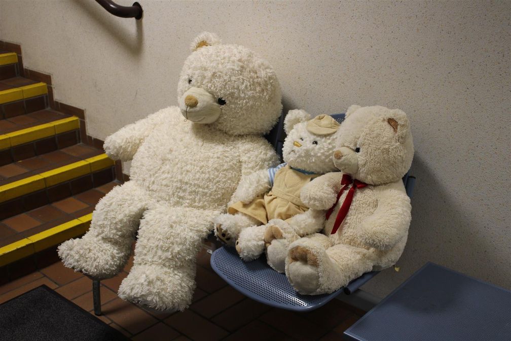 Teddybären Bild: Polizei